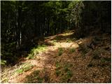 Brinje - Planica